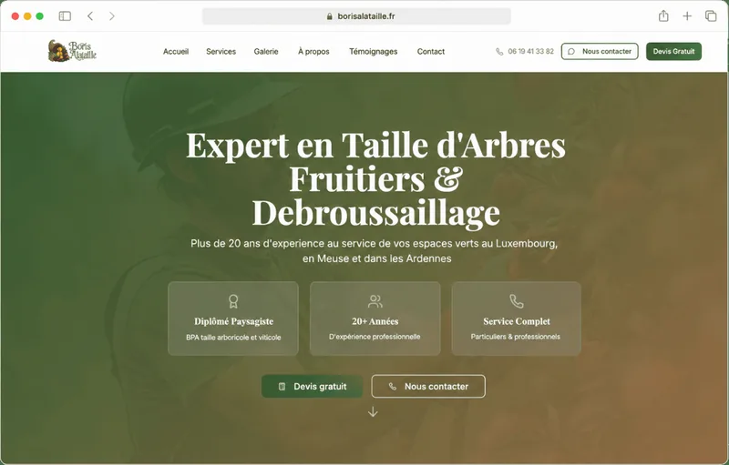 Capture du site Boris Alataille